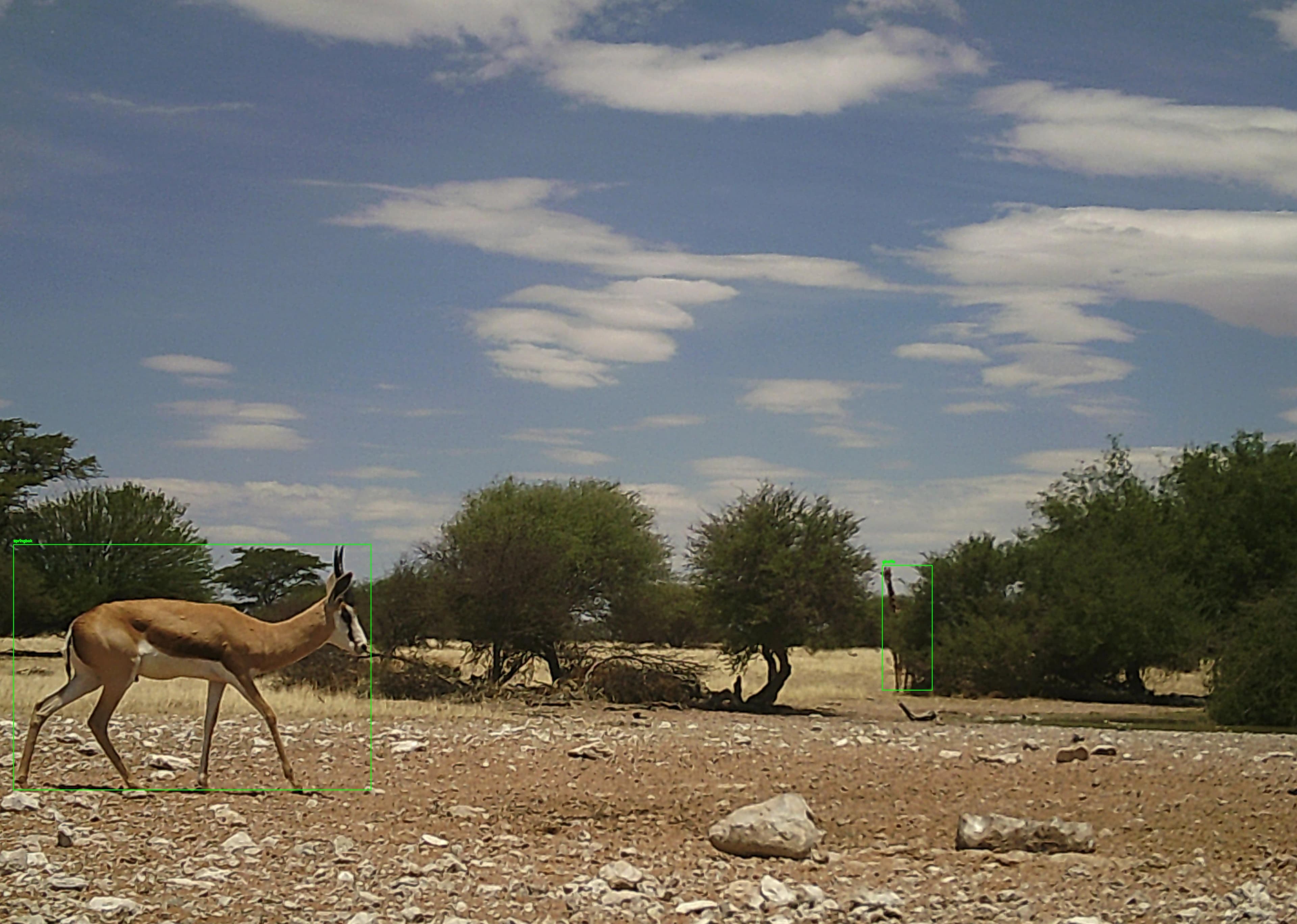 Original overview image of the Wildcam wildlife monitoring platform