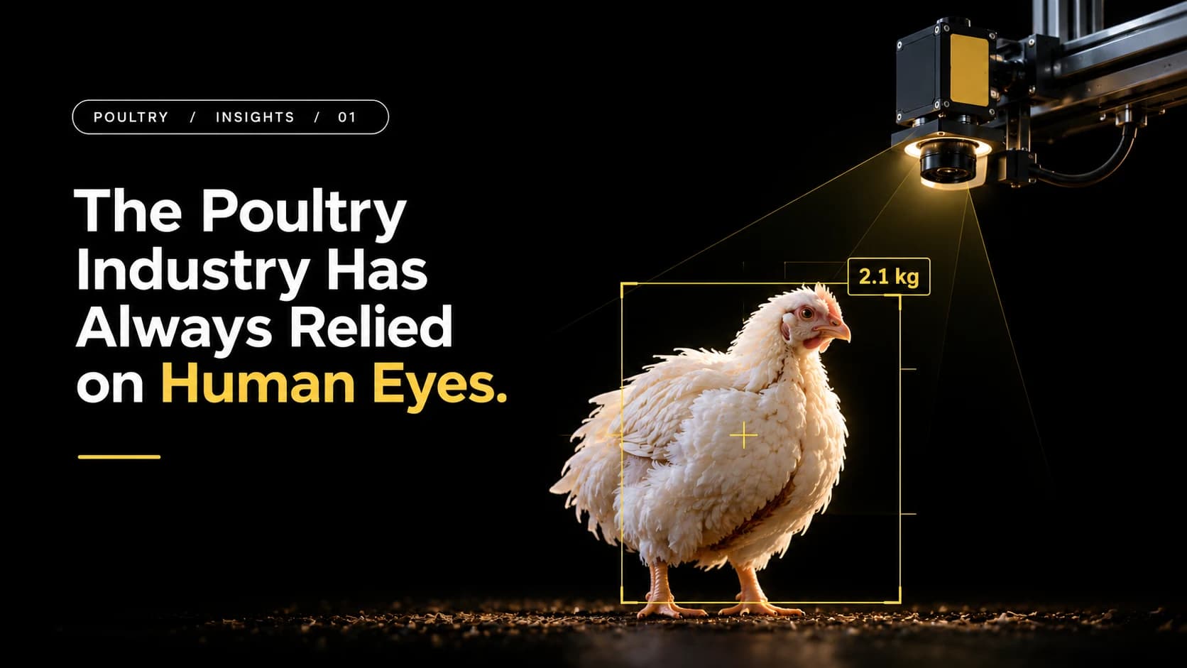 Conceptual poultry computer vision illustration with a broiler chicken, industrial camera and illustrative weight overlay